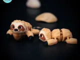 Little Sloth Flexi Multicolor 3MF-2