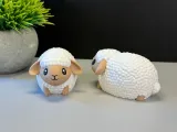 Cute Sheep-2