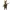 Hunter lapin rabbit chasseur 