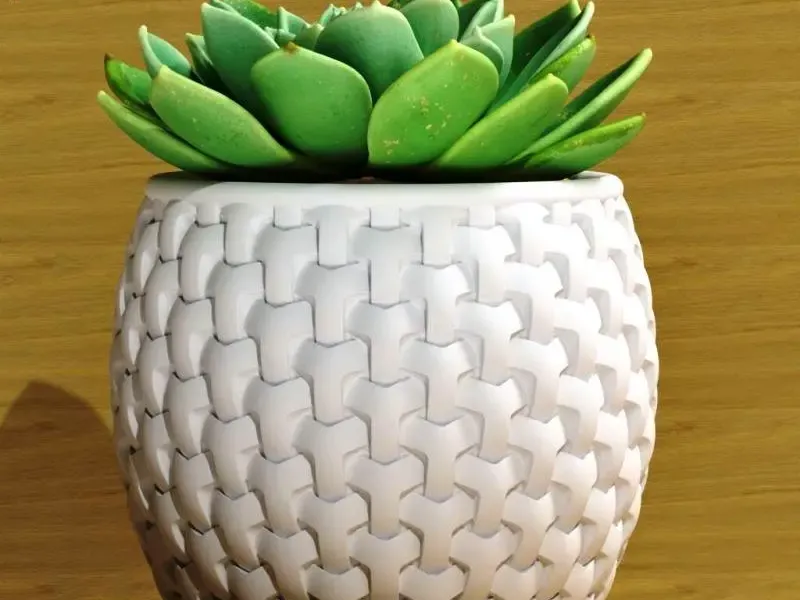 Cache-pot pour succulentes à motif de vannerie
