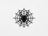 spider-0