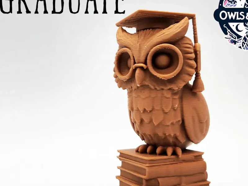 The Graduate - Owls & Dragons