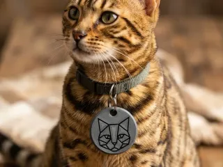 CAT KEYCHAIN / NECKLACE