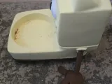 pet feeder-6