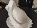 DARWIN WALL FROG-3