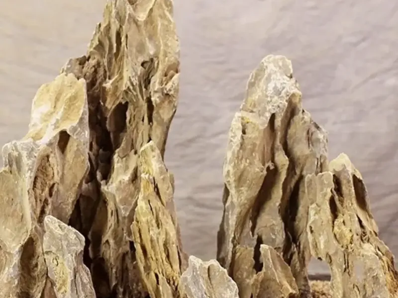 Aquarium rock formation.