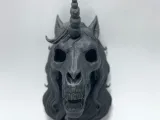 Unicorn Skull-2