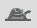 Staircase Turtle-3