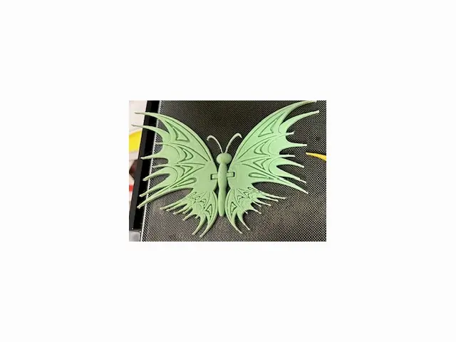 Dragon WIng Butterfly