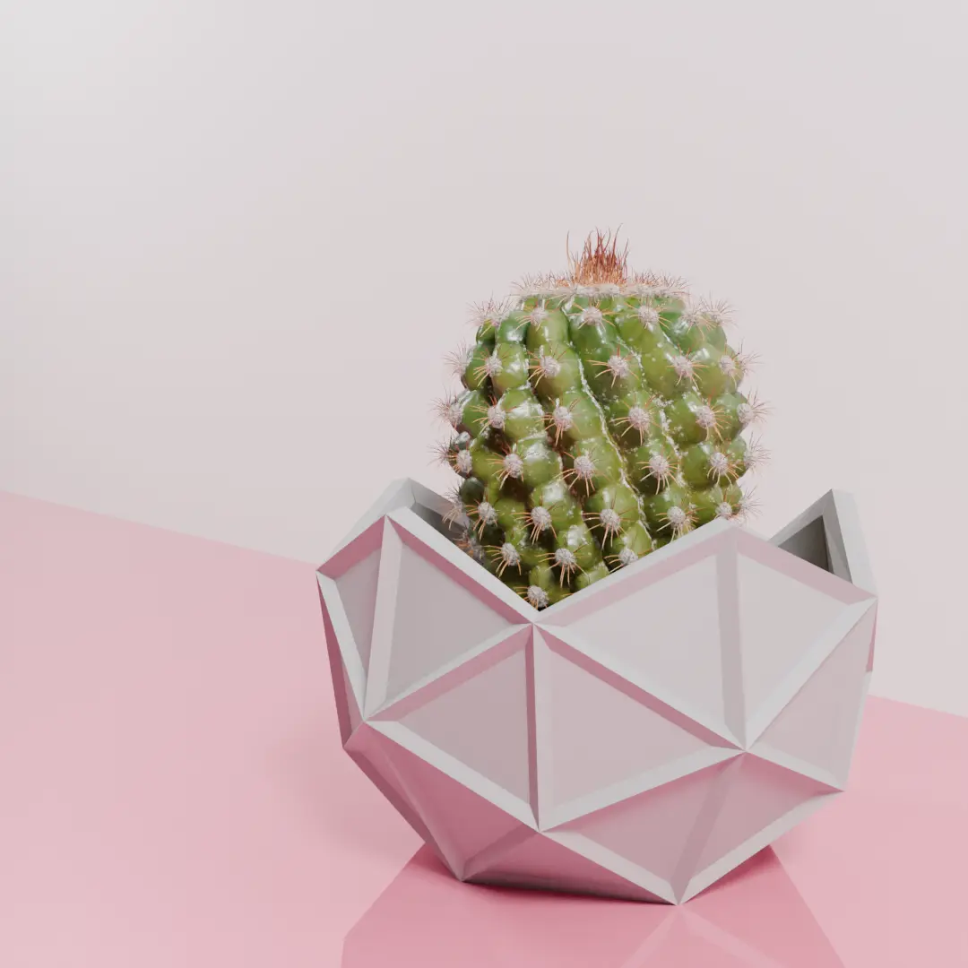 Geodesic cactus pot planter