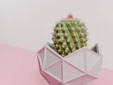 Geodesic cactus pot planter-3
