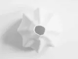 Meringue-3