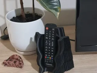 Remote Vase