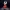 Hornet Hollow Knight