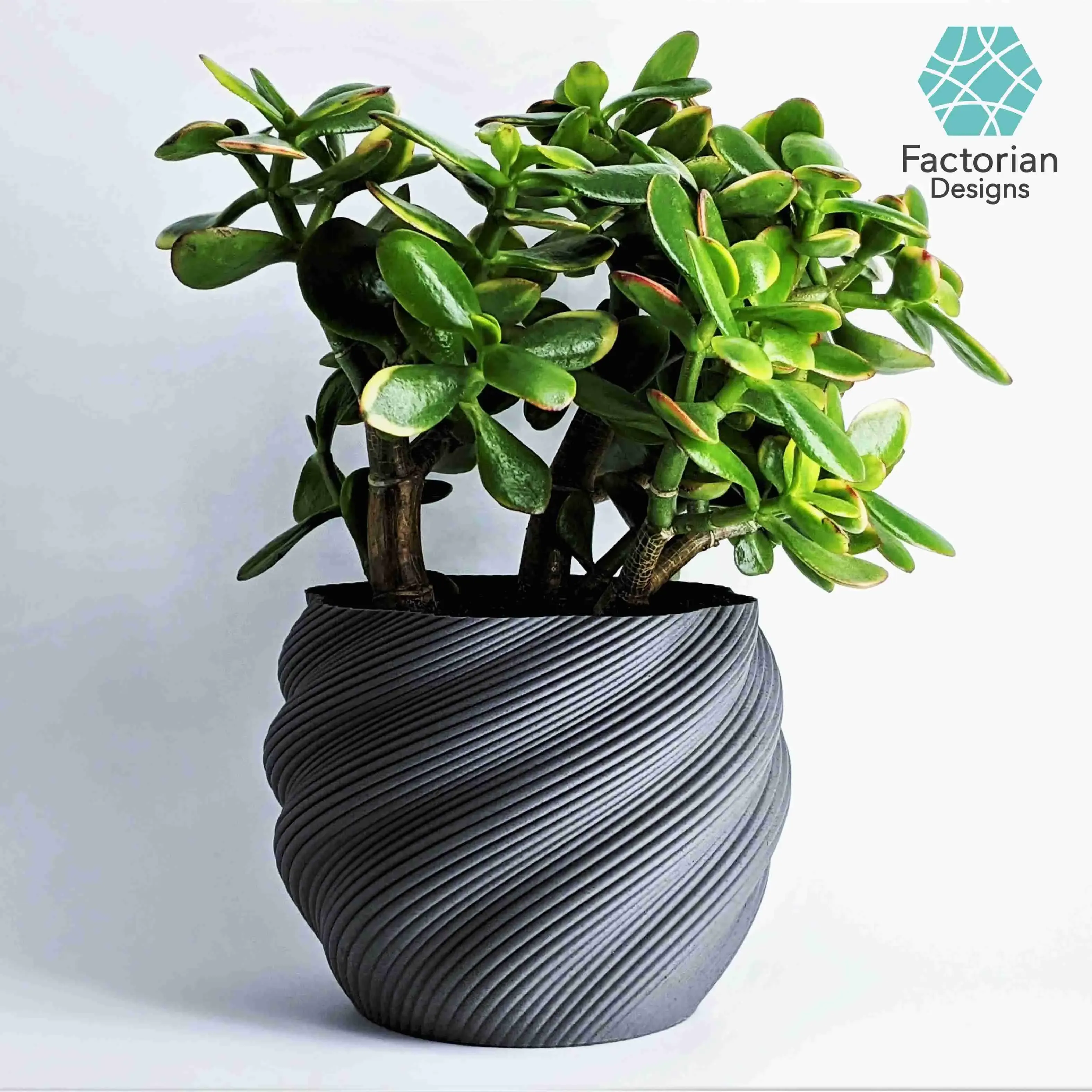 Modern Plant Pot "Diluvian" as succult planters / big pot