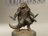 Armadillo Explorador-0