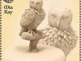 Owl Casual-0