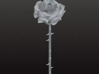Rosa by julstudio