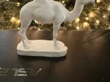 Camel 2-3