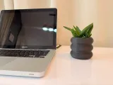 Small flower pot-2