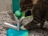 Turning cat toy-4