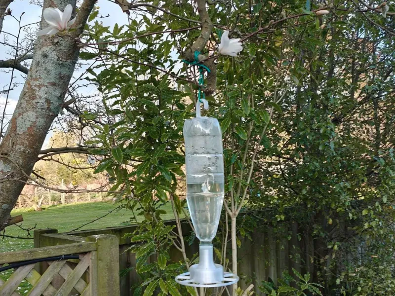 bird feeder (sager water/Nectar)