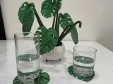 Monstera Coasters-3