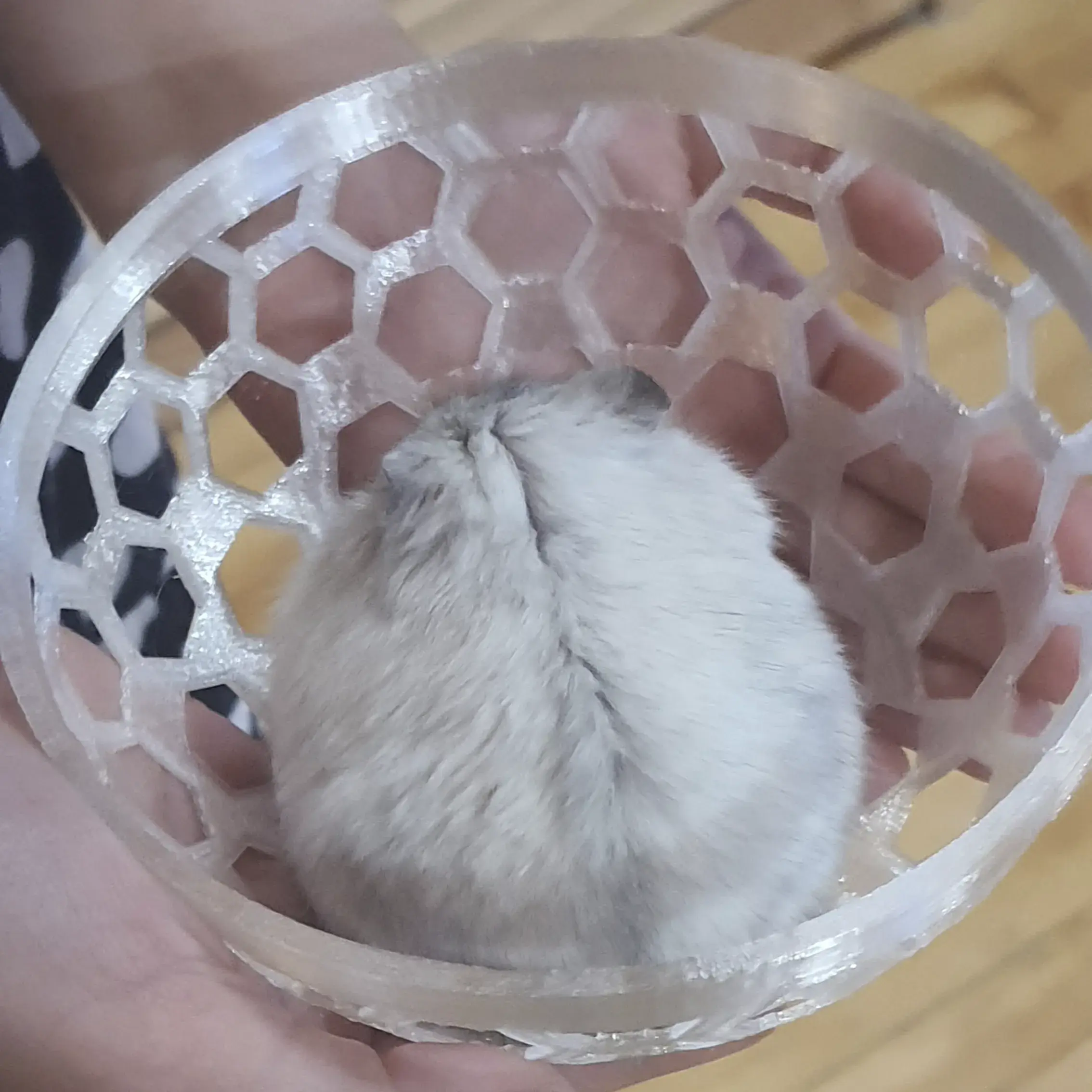 Hamster ball
