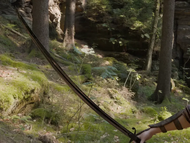 Polish Sword