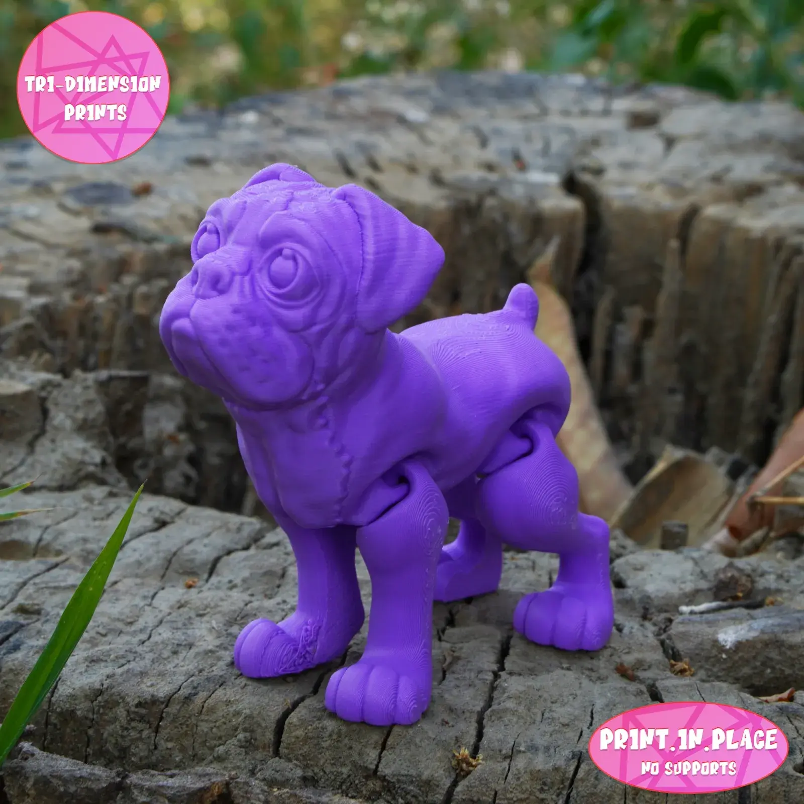 PRINT IN PLACE CUTE FLEXI BOXER DOG