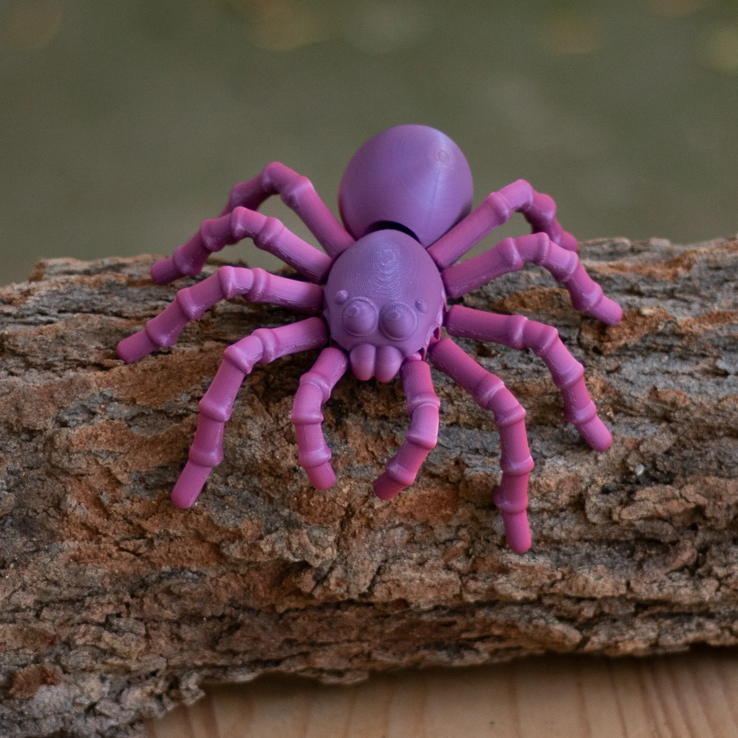 PĂIANJEN TARANTULA ARTICULAT