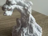 Ancient tree-2