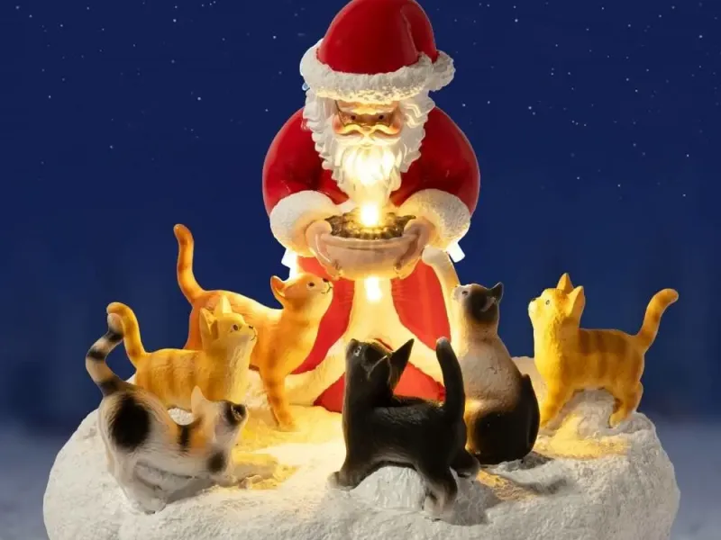 Santa Feeds Cats
