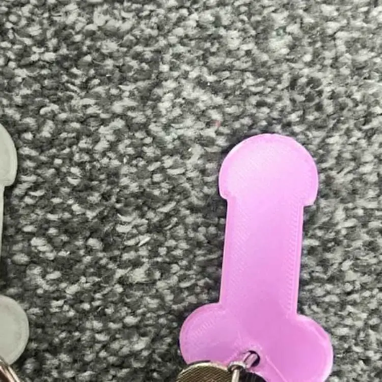 Willy Trolly Coin Keychain