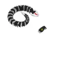 Snake multicolor-0