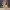 Majestic Christmas Reindeer: Elegant Holiday Decor 3D Model