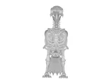 Falcon Skeleton Anatomy – Highly Detailed Bird Skeletal 3D-2