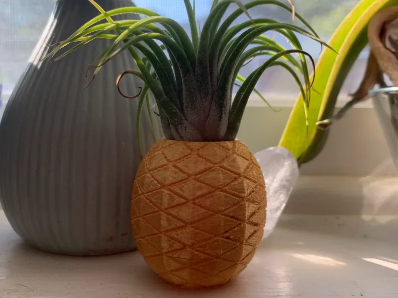Pineapple Air Plant Holder