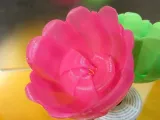 Collapsing Rose-1