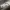Nissan Skyline Zoom Hueforge 200x200