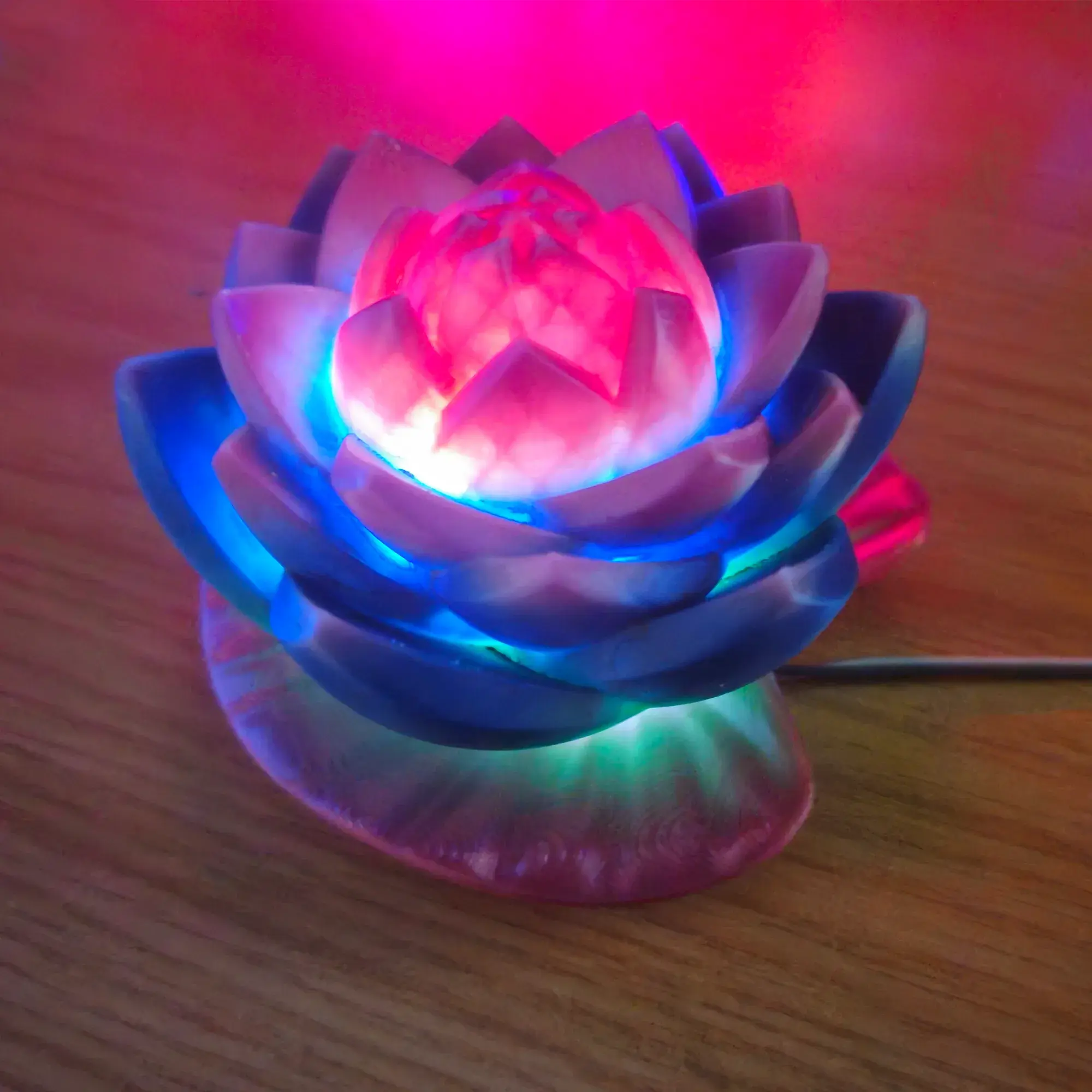 Lotus-Lampe