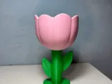 Tulipan Cable Holder (NO CFS)-2
