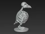 Skeleton Penguin-5
