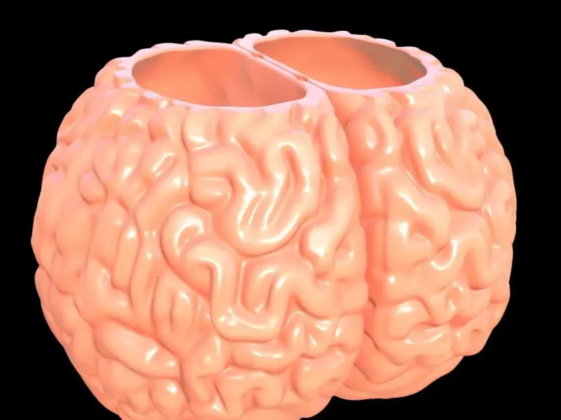Brain Vase / Pen Holder
