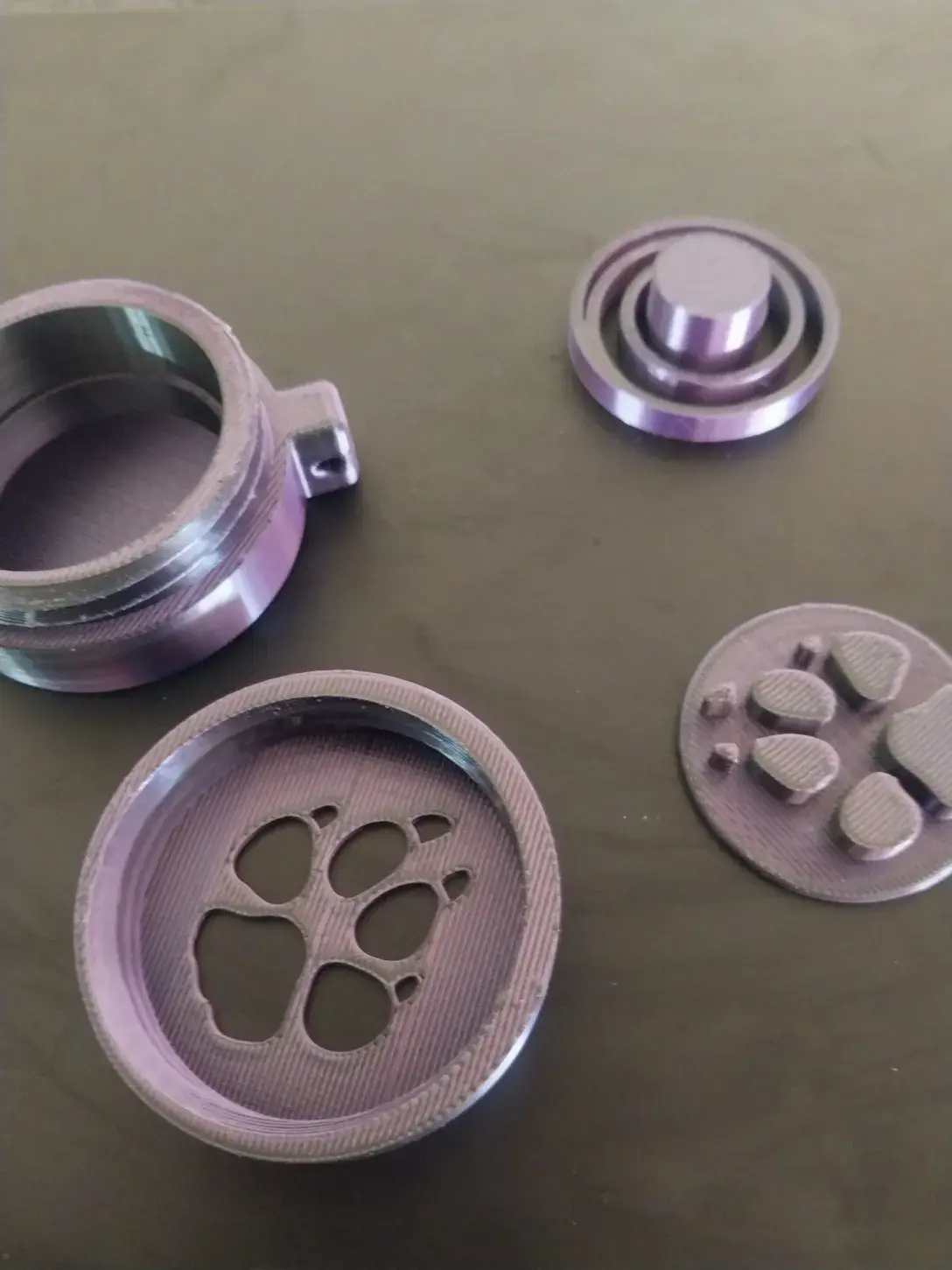 Paw Print Button Fidget