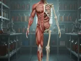 Cuerpo humano, human body-0