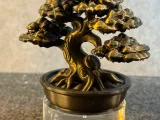 Bonsai Creality-2