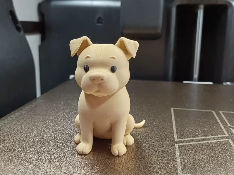 可愛いピットブルの子犬