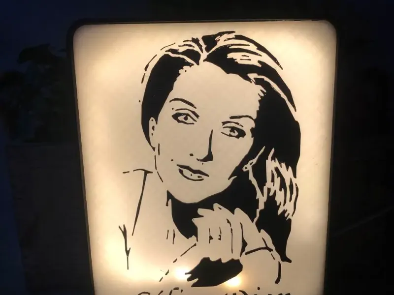 Cadre Lumineux Céline Dion