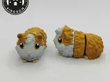 Flexi Tiny Cavia, Keycahin version and 3mf files included-6